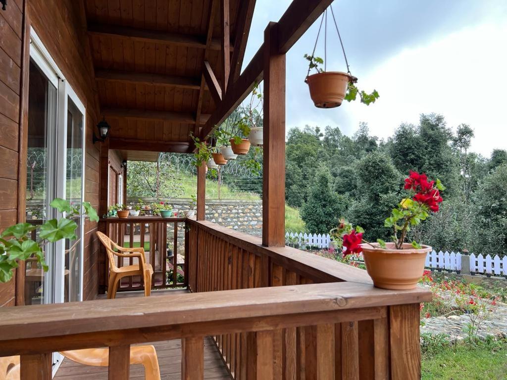 Vanprastha Resorts Dwarahat Eksteriør billede