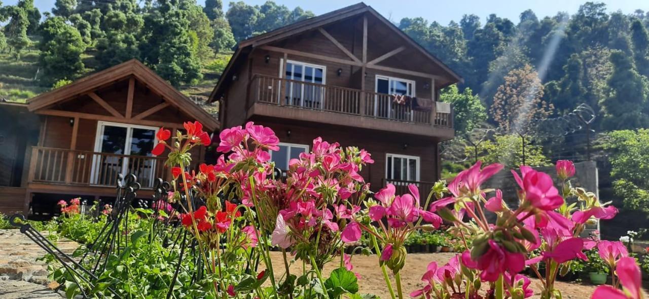 Vanprastha Resorts Dwarahat Eksteriør billede